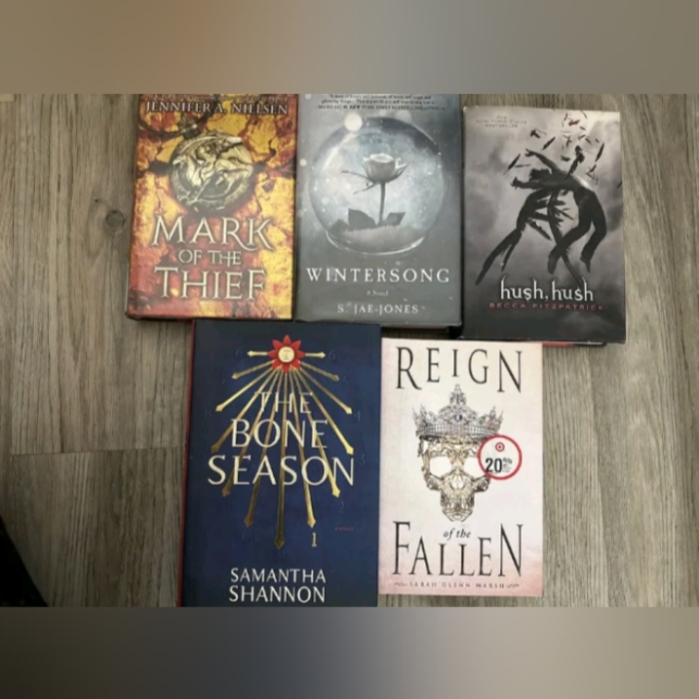YA Book Lot